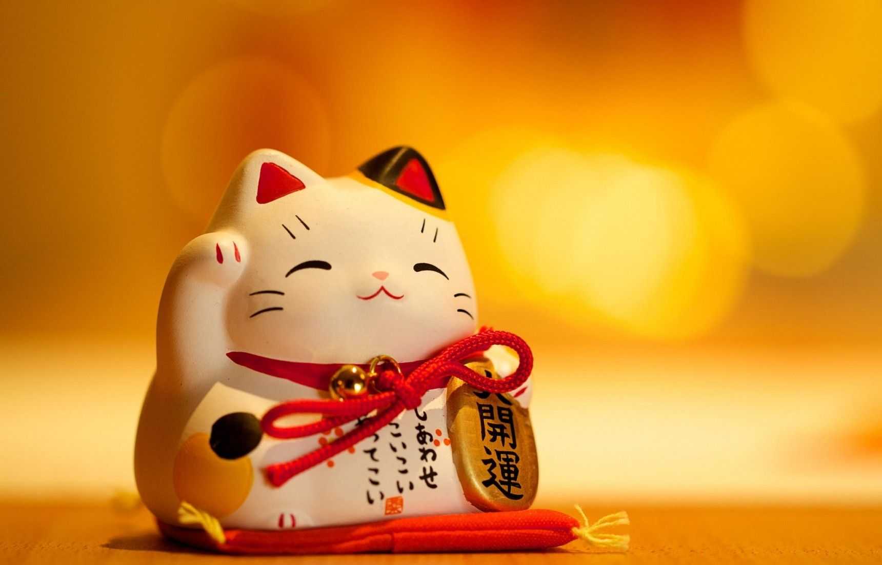 Maneki Neko: el famoso gato de la suerte