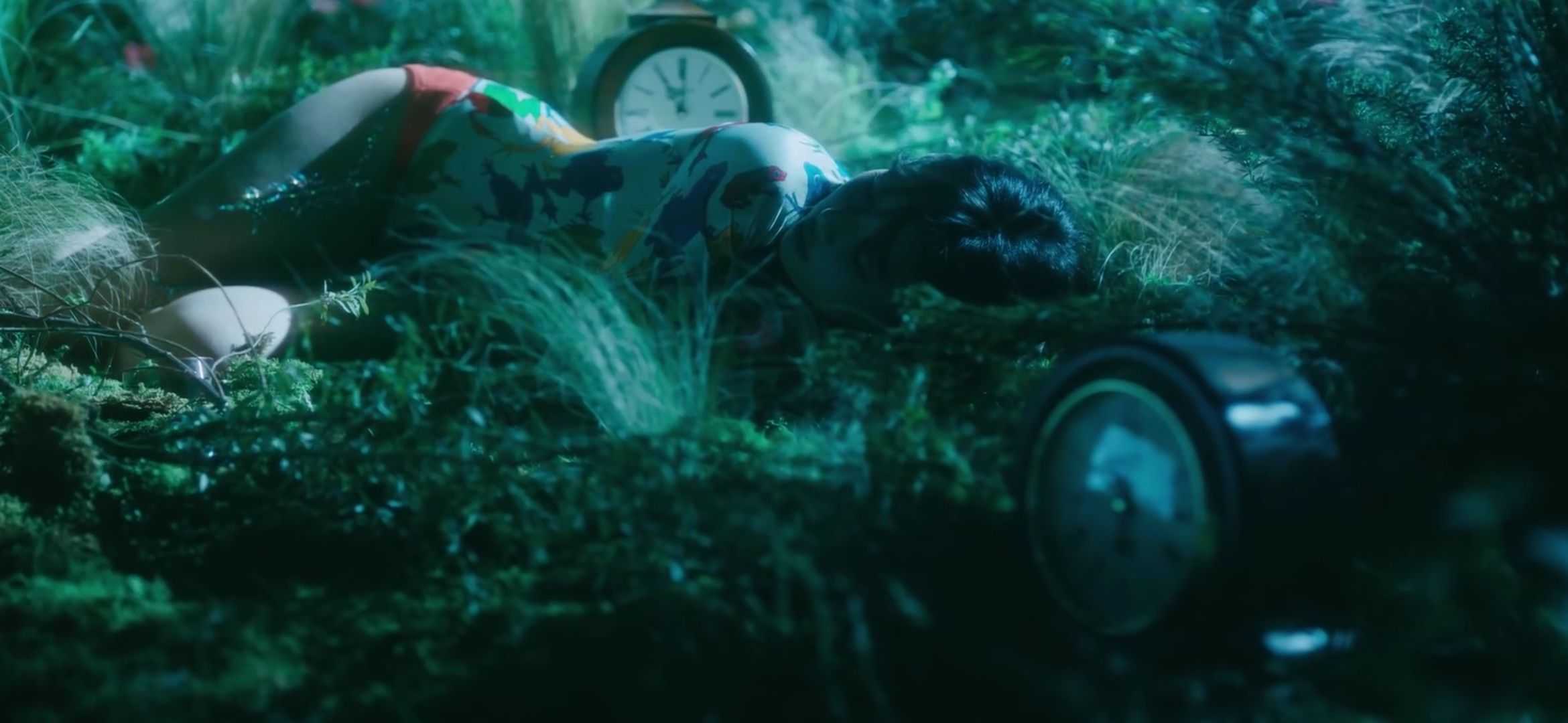 Screen del MV Flower Shower