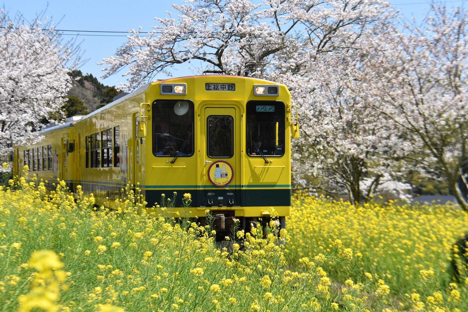 Japan Rail Pass una herramienta indispensable para viajar a Japón