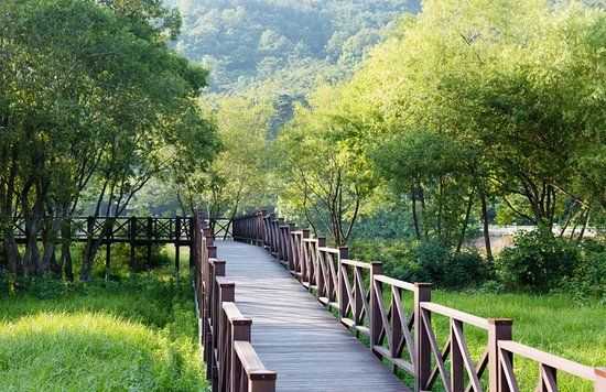 Gwangju-Parque lago Eko