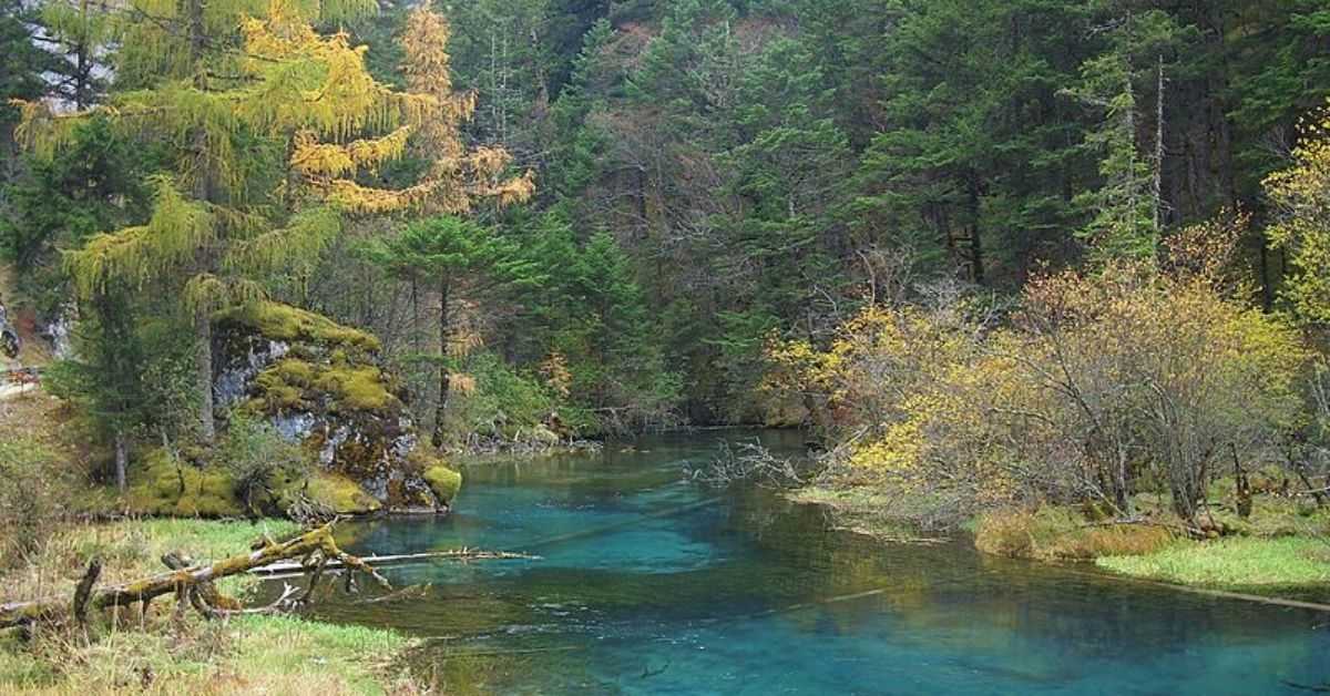 Lago de los cisnes