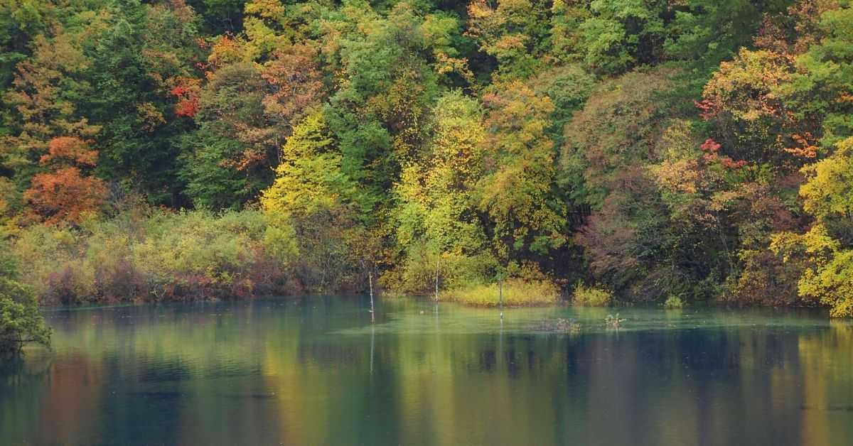 Lago del dragón durmiente en Jiuzhaigou