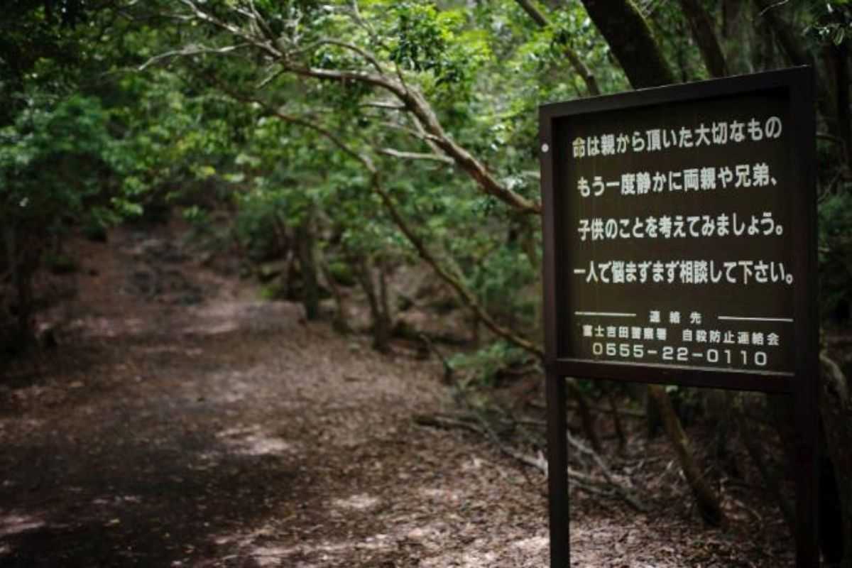 Aokigahara: “el mar de árboles”