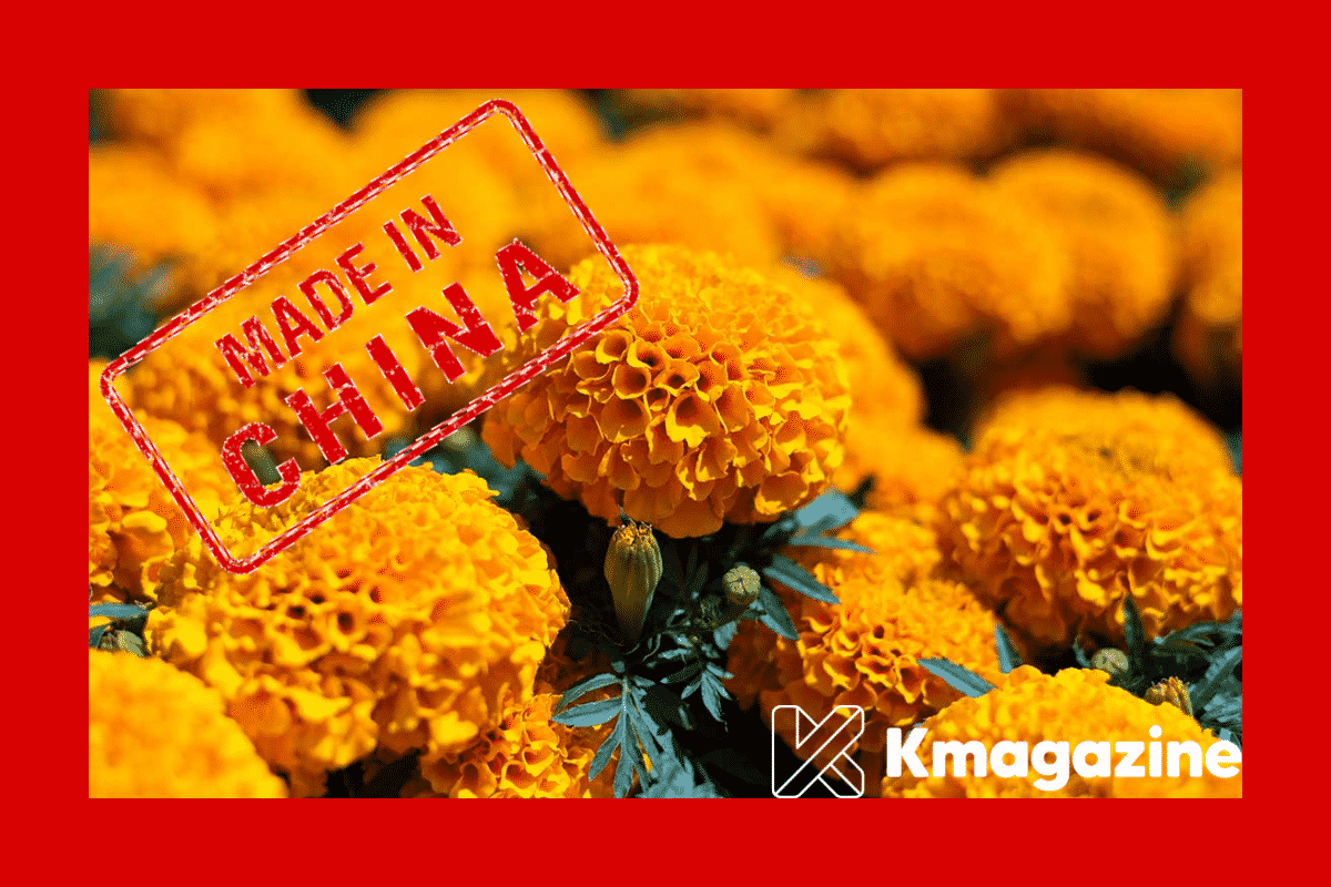 ¿Por qué China es el principal productor de cempasúchil, la flor y símbolo de la cultura mexicana?