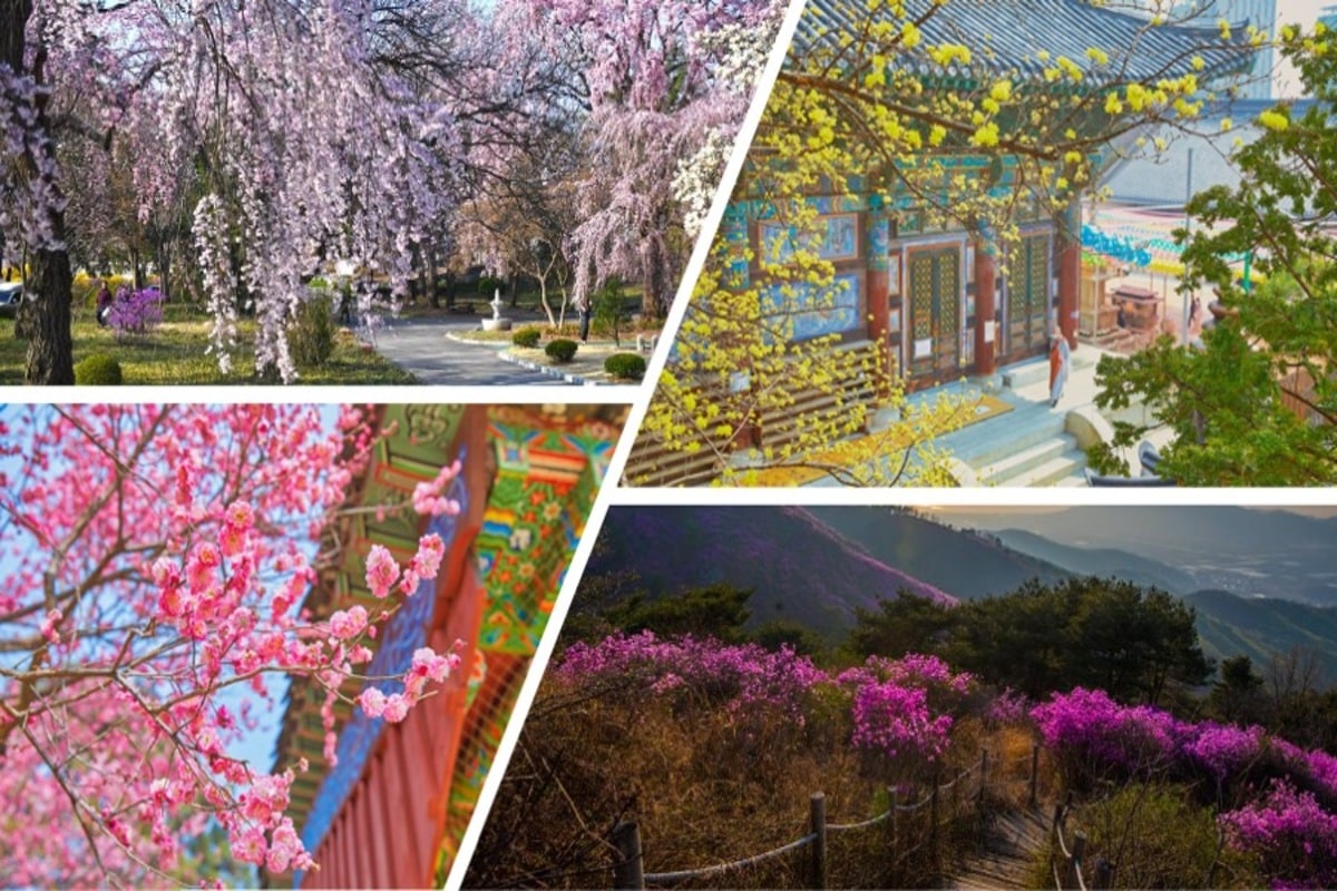 5 lugares de Corea del Sur que debes visitar en primavera