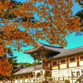 5 sitios que debes visitar para conocer el patrimonio cultural de Corea