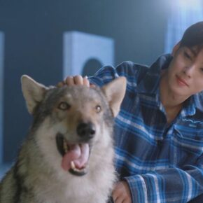 A Good Day To Be a Dog: conoce el drama que protagonizará Cha Eun Woo