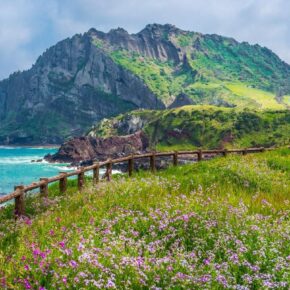 3 atractivos naturales de Corea del Sur que debes visitar