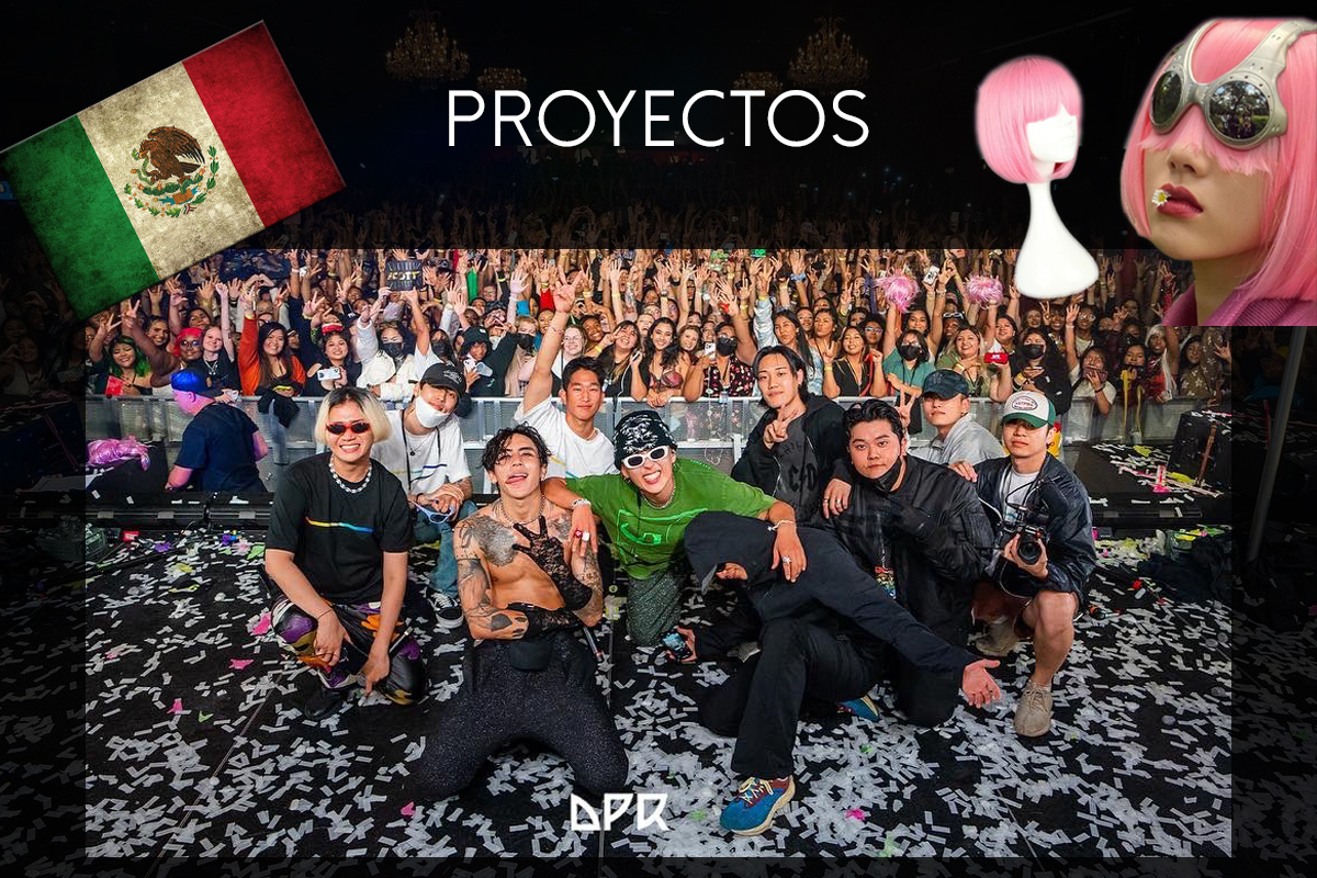 Proyectos para DPR en México