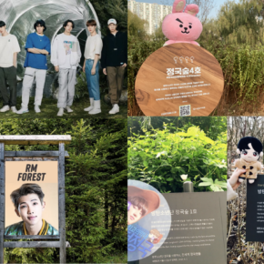Corea y fans del Kpop plantan mini bosques para sus idols y el medio ambiente