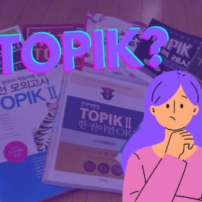 ¿Qué es el TOPIK y cuántos niveles tiene?